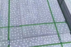 異型